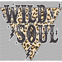 Country music-CM-991